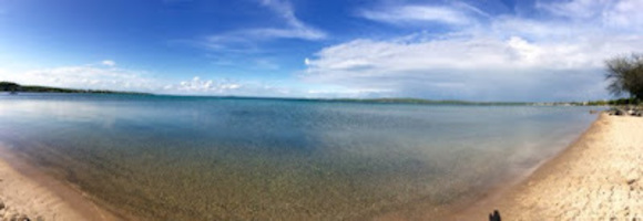 Meet your Posher, Emily - Picture 1 of 1